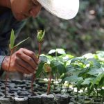 5 Blog Restaurar La Amazonia