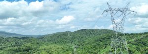 linea de transmisión de ISA, está en un bosque